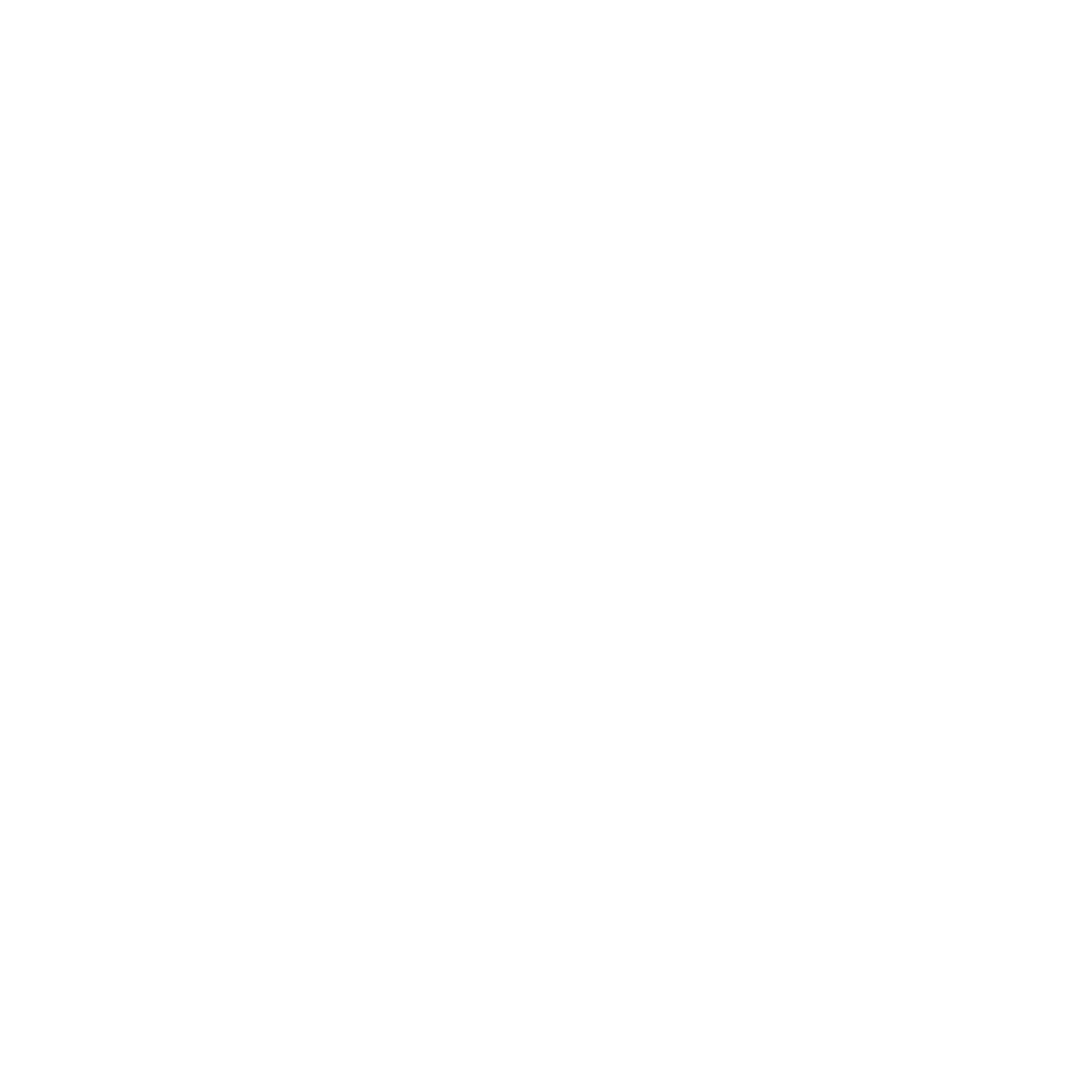 mobile navigation